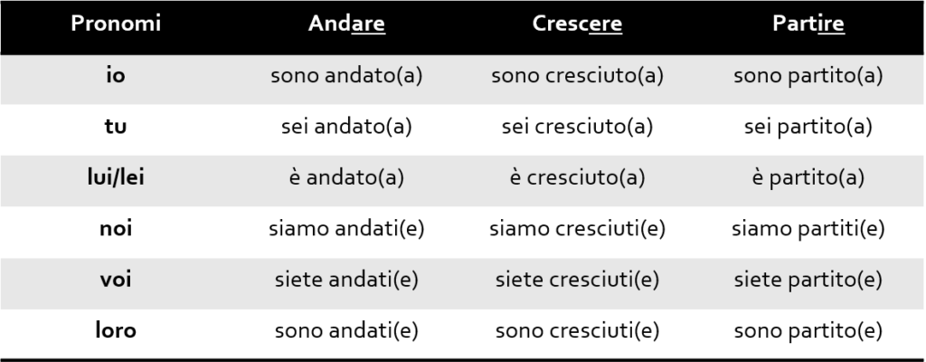 Passato prossimo essere 1024x400 - O Passato Prossimo no Italiano